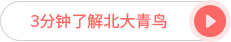 三分鐘了解中博教育