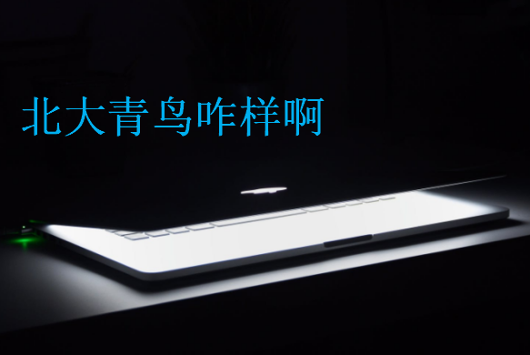北大青鳥咋樣啊