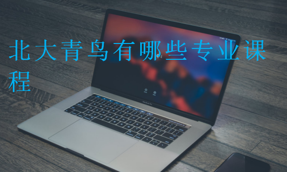 北大青鳥有哪些專業課程