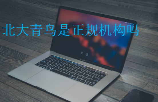 北大青鳥是正規機構嗎