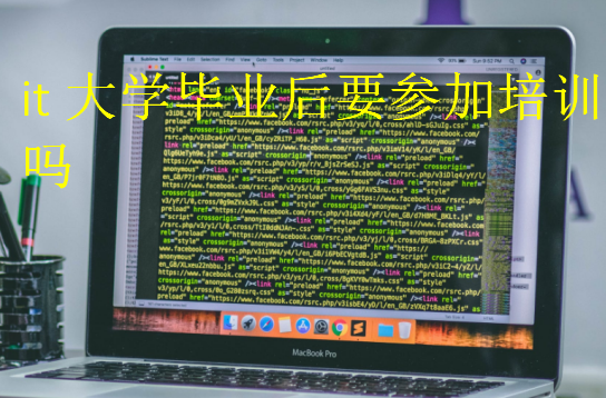 it大學畢業后要參加培訓嗎