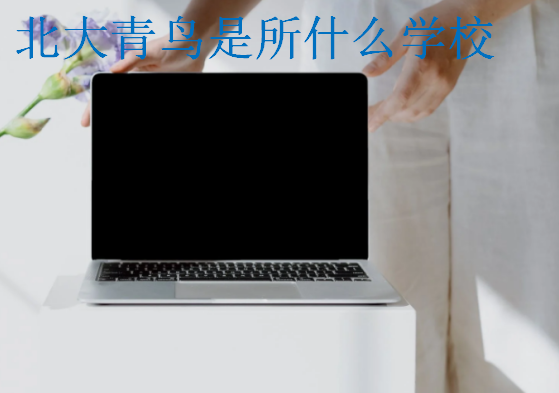 北大青鳥是所什么學校