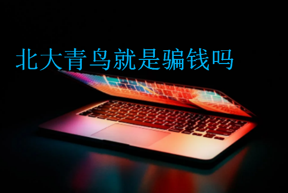 北大青鳥就是騙錢嗎