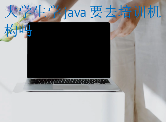 大學生學java要去培訓機構嗎