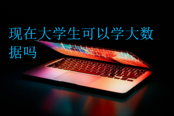 現在大學生可以學大數據嗎