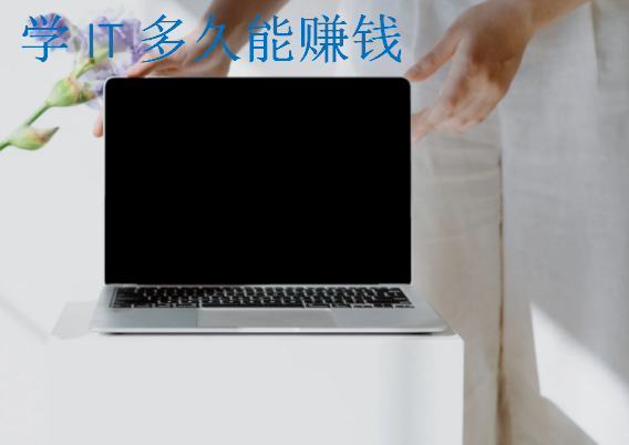 學(xué)IT多久能賺錢