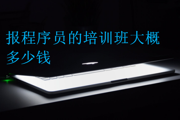 報程序員的培訓班大概多少錢