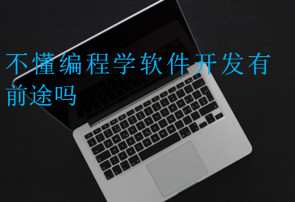 不懂編程學(xué)軟件開發(fā)有前途嗎