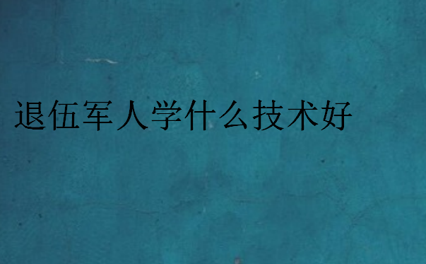 退伍軍人學(xué)什么技術(shù)好