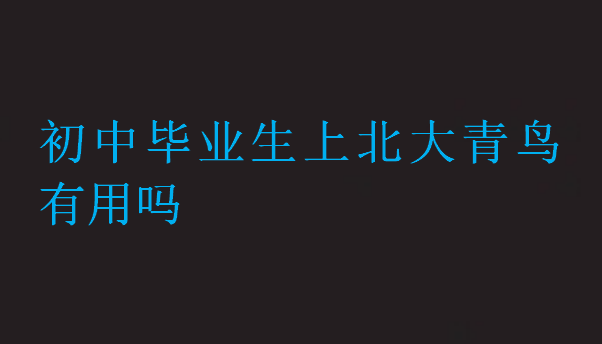 初中畢業生上北大青鳥有用嗎