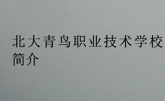 北大青鳥職業(yè)技術(shù)學(xué)校簡介