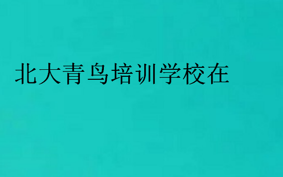 北大青鳥培訓學校在