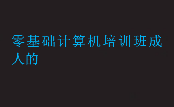零基礎(chǔ)計算機培訓(xùn)班成人的