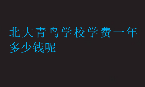 北大青鳥學(xué)校學(xué)費(fèi)一年多少錢呢
