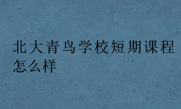 北大青鳥學校短期課程怎么樣