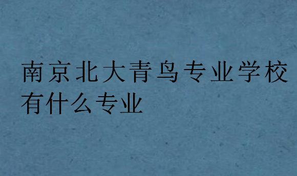 南京北大青鳥專業學校有什么專業