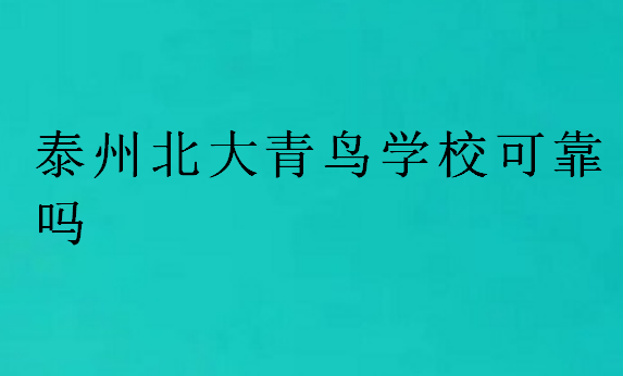 泰州北大青鳥學校可靠嗎