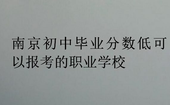 南京初中畢業(yè)分數(shù)低可以報考的職業(yè)學(xué)校