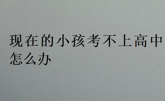 現在的小孩考不上高中怎么辦
