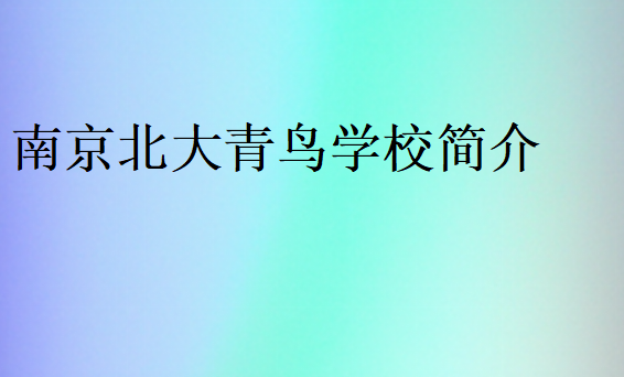 南京北大青鳥學校簡介