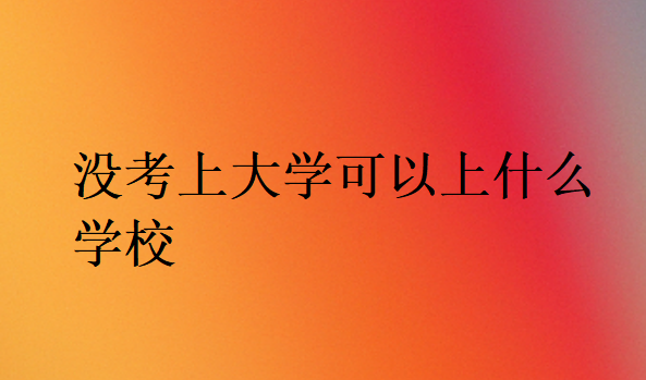 沒考上大學可以上什么學校