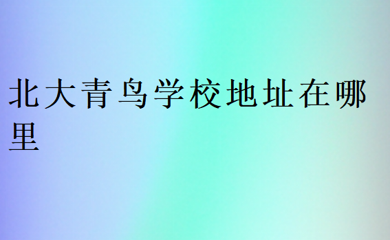 北大青鳥學(xué)校地址在哪里
