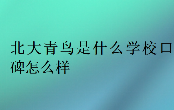 北大青鳥是什么學校口碑怎么樣