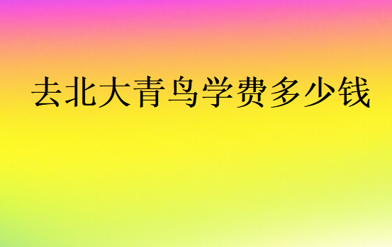 去北大青鳥學(xué)費(fèi)多少錢