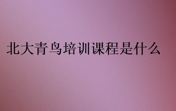 北大青鳥培訓課程是什么