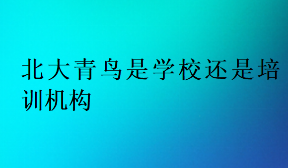 北大青鳥是學校還是培訓機構