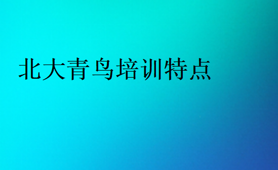 北大青鳥培訓特點
