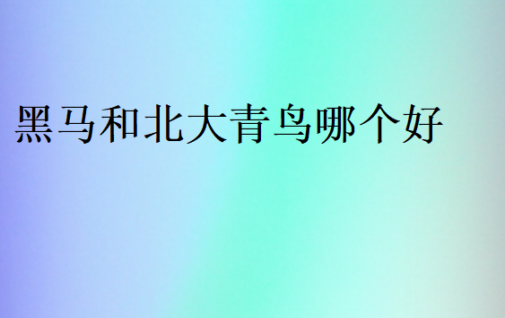 黑馬和北大青鳥(niǎo)哪個(gè)好
