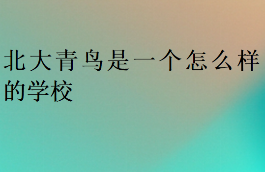 北大青鳥是一個怎么樣的學校