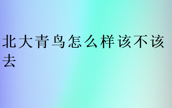 北大青鳥怎么樣該不該去