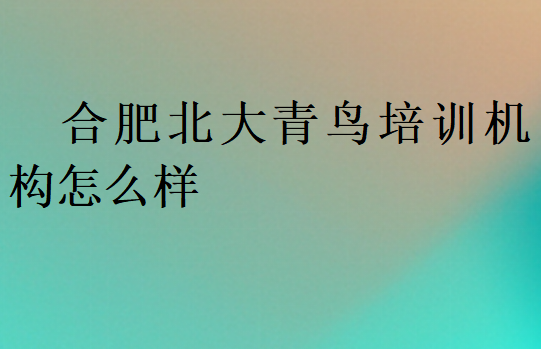 合肥北大青鳥培訓機構怎么樣