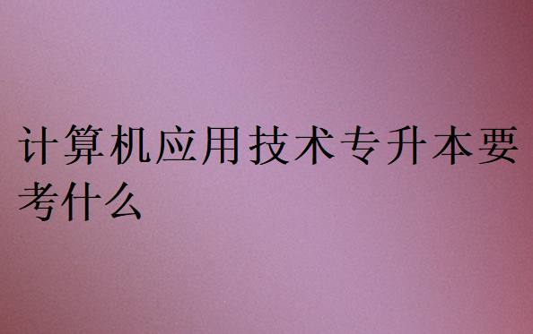 計算機應用技術專升本要考什么