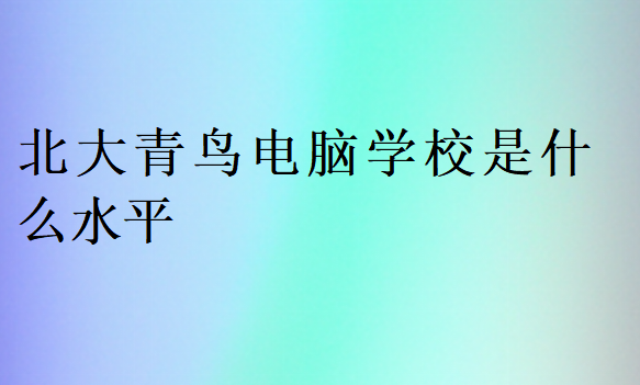 北大青鳥電腦學校是什么水平