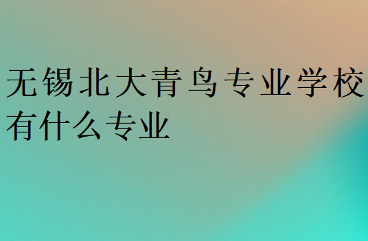 無錫北大青鳥專業(yè)學校有什么專業(yè)