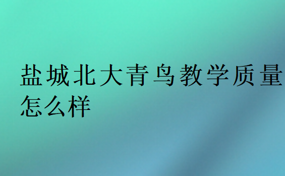 鹽城北大青鳥教學質量怎么樣