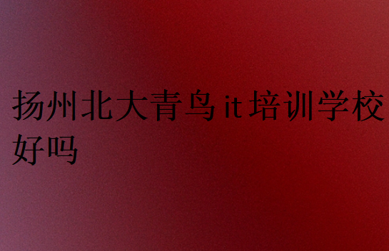 揚(yáng)州北大青鳥it培訓(xùn)學(xué)校好嗎