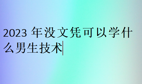 2023年沒文憑可以學什么男生技術