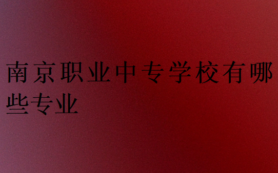 南京職業中專學校有哪些專業
