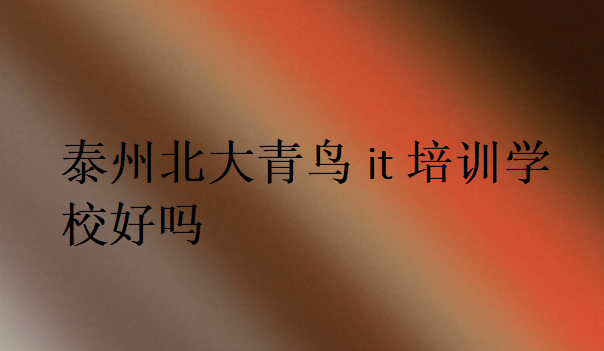 泰州北大青鳥it培訓學校好嗎