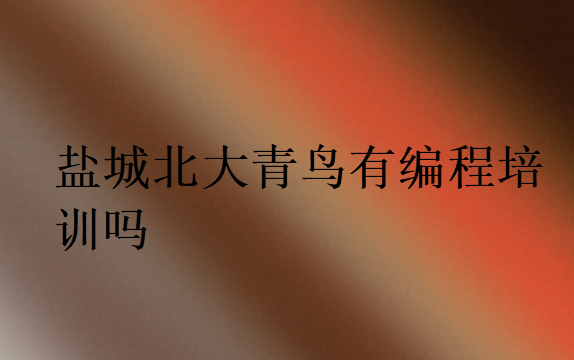 鹽城北大青鳥有編程培訓嗎
