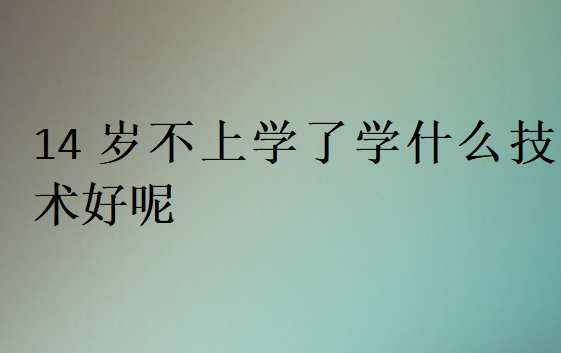 14歲不上學(xué)了學(xué)什么技術(shù)好呢