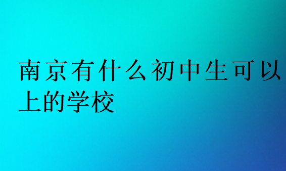 南京有什么初中生可以上的學校