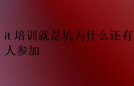 it培訓(xùn)就是坑為什么還有人參加