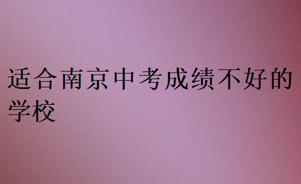 適合南京中考成績不好的學校