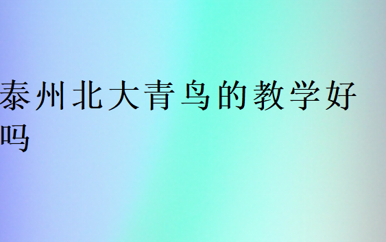 泰州北大青鳥的教學好嗎