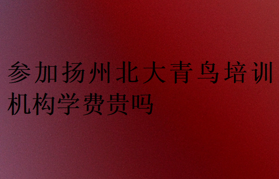 參加揚州北大青鳥培訓機構學費貴嗎